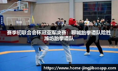 赛季初联合会杯冠亚军决赛：聊城跆拳道队险胜潍坊跆拳道队